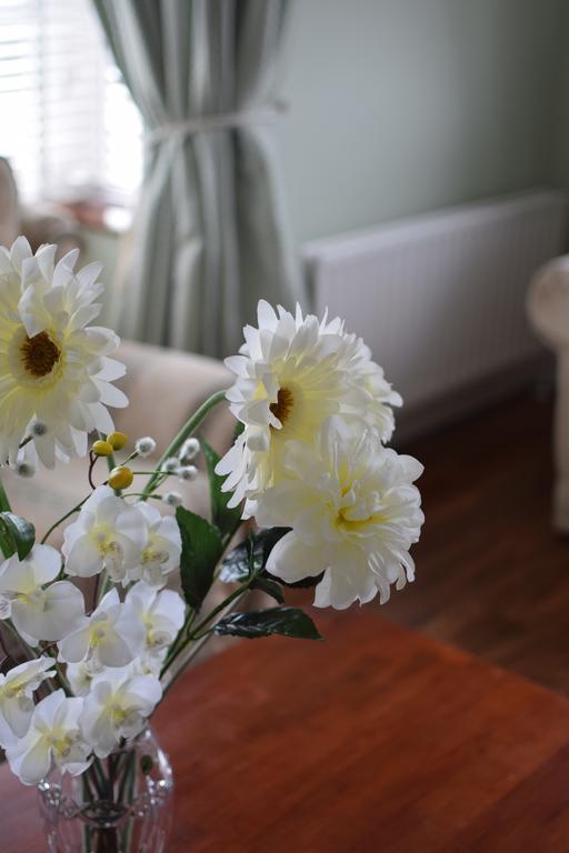 Fernhill House Tramore B&B Ngoại thất bức ảnh